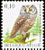 Boreal Owl Aegolius funereus