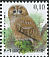 Tawny Owl Strix aluco  2009 Birds 