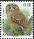 Tawny Owl Strix aluco