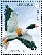 Common Shelduck Tadorna tadorna  2016 Birds and flowers 10v sheet