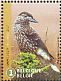 Spotted Nutcracker Nucifraga caryocatactes  2017 Hoge Venen 10v sheet