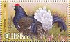 Black Grouse Lyrurus tetrix  2017 Hoge Venen 10v sheet