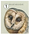 Western Barn Owl Tyto alba  2020 Garden fauna 10v sheet, sa