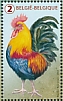 Red Junglefowl Gallus gallus