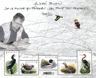 Click for enlargement