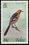 Hooded Oriole Icterus cucullatus  1977 Birds 