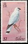 White Hawk Pseudastur albicollis  1977 Birds 