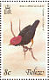 Red-capped Manakin Ceratopipra mentalis  1977 Birds Sheet
