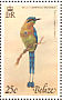 Lesson's Motmot Momotus lessonii  1977 Birds Sheet