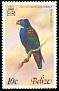 White-crowned Parrot Pionus senilis  1978 Birds 