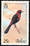 Crimson-collared Tanager Ramphocelus sanguinolentus  1978 Birds 