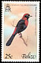 Crimson-collared Tanager Ramphocelus sanguinolentus