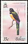 Black-headed Trogon Trogon melanocephalus  1978 Birds 