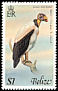King Vulture Sarcoramphus papa  1978 Birds 