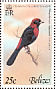 Crimson-collared Tanager Ramphocelus sanguinolentus