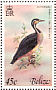 Sungrebe Heliornis fulica  1978 Birds Sheet