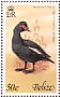 Muscovy Duck Cairina moschata  1978 Birds Sheet