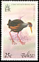 Grey-cowled Wood Rail Aramides cajaneus  1979 Birds 