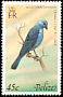 Blue-grey Tanager Thraupis episcopus  1979 Birds 