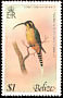 Long-billed Hermit Phaethornis longirostris  1979 Birds 