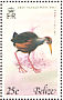 Grey-cowled Wood Rail Aramides cajaneus  1979 Birds Sheet
