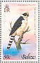 Laughing Falcon Herpetotheres cachinnans  1979 Birds Sheet