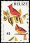 Northern Cardinal Cardinalis cardinalis  1985 Audubon 