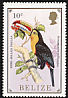 Keel-billed Toucan Ramphastos sulfuratus