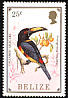 Collared Aracari Pteroglossus torquatus  1986 Toucans 