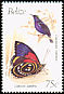 Red-legged Honeycreeper Cyanerpes cyaneus  1990 Birds and butterflies 
