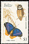 Spectacled Owl Pulsatrix perspicillata  1990 Birds and butterflies 