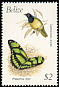 Inca Jay Cyanocorax yncas  1990 Birds and butterflies 