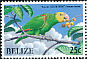 Yellow-headed Amazon Amazona oratrix  2009 Endangered birds 