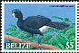 Great Curassow Crax rubra