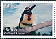 Collared Aracari Pteroglossus torquatus  2020 Definitives 