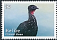 Crested Guan Penelope purpurascens  2020 Definitives 