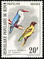 Village Weaver Ploceus cucullatus  1982 Birds 