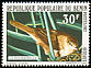 Great Reed Warbler Acrocephalus arundinaceus  1982 Birds 