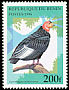 California Condor Gymnogyps californianus  1996 Birds 