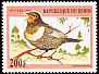 Ring Ouzel Turdus torquatus  1997 Song birds 