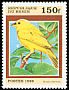 Saffron Finch Sicalis flaveola  1999 Birds 
