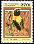 Yellow-crowned Bishop Euplectes afer  1999 Birds 