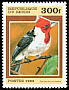 Red-crested Cardinal Paroaria coronata  1999 Birds 