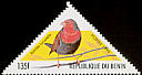 Locust Finch Paludipasser locustella  1999 Birds 