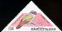 Swee Waxbill Coccopygia melanotis  1999 Birds 