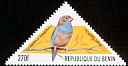 Red-cheeked Cordon-bleu Uraeginthus bengalus  1999 Birds 