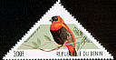 Southern Red Bishop Euplectes orix  1999 Birds 