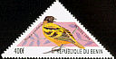 Village Weaver Ploceus cucullatus  1999 Birds 
