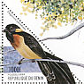 Broad-tailed Paradise Whydah Vidua obtusa  1999 Birds  MS