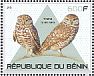 Burrowing Owl Athene cunicularia  2015 Owls and mushrooms 3v sheet